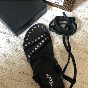 𝐂𝐡𝐚𝐫𝐥𝐞𝐬 𝐃𝐚𝐯𝐢𝐝 𝐬𝐚𝐧𝐝𝐚𝐥𝐬